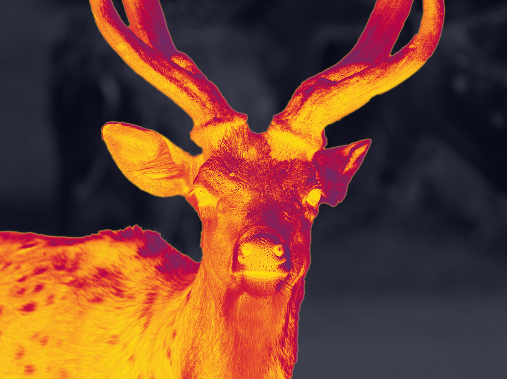 VueThermal